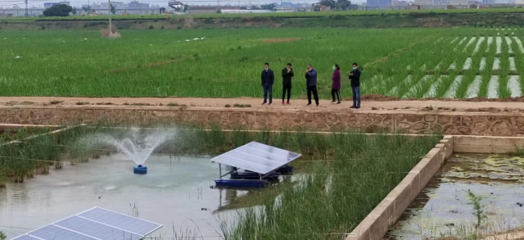 陸良縣強化養殖尾水治理，推動內陸水產養殖綠色可持續發展