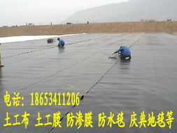 內陸水產養殖 從池塘到餐桌的全鏈條發展策略